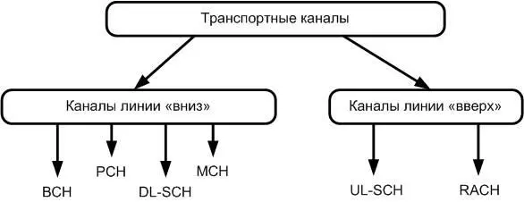 Рис 3 Классификация транспортных каналов Физические каналы В LTE определены - фото 3