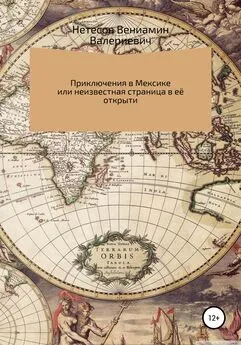 Вениамин Нетесов - Путешествие в Мексику, или Неизвестная страница в её открытии