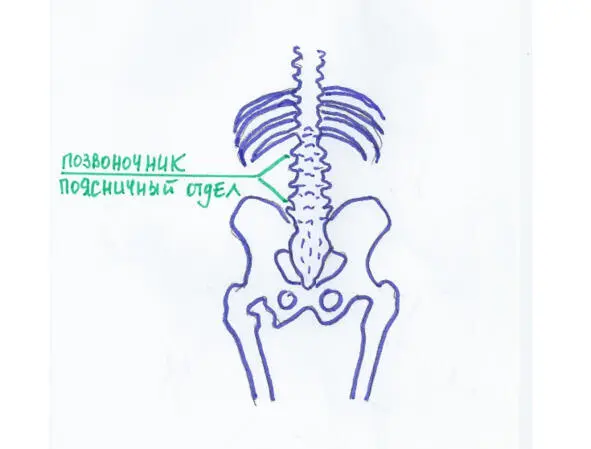 Рис6 Фрагмент позвоночника Лечение остеохондроза проводят невропатологи или - фото 7