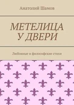 Анатолий Шамов - Метелица у двери. Любовная и философская лирика