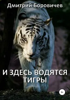 Дмитрий Боровичев - И здесь водятся тигры