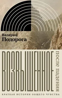 Валерий Подорога - Возвышенное. После падения. Краткая история общего чувства