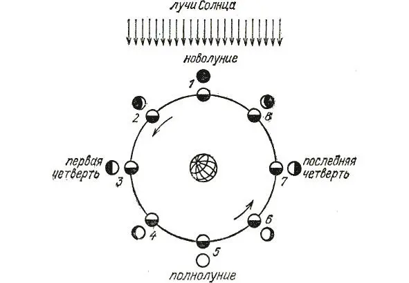 Рис 1 Фазы Луны На рисунке схематически показаны лунные фазы 4 4 Хренов Л - фото 1