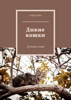 София Нам - Дикие кошки. Лунная стая