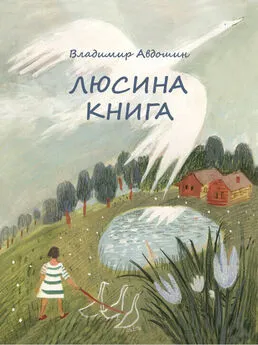 Владимир Авдошин - Люсина книга