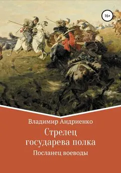 Владимир Андриенко - Стрелец государева полка: Посланец воеводы