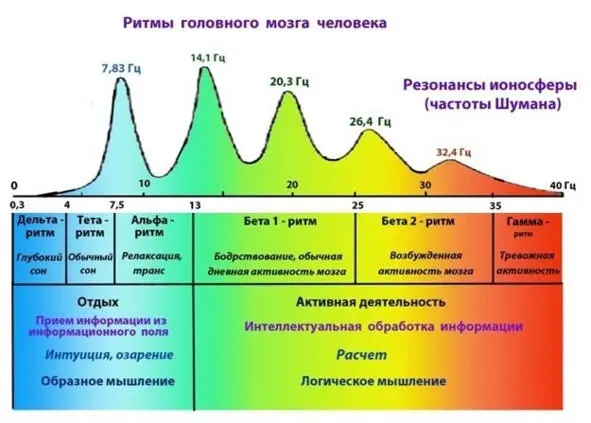 Рис 24 Соответствие ритмов головного мозга резонансам Шумана 128 Конечно - фото 25