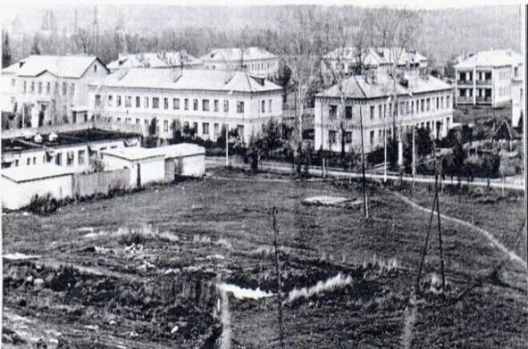 ОПХ Ермолино 1960е г Уборка трав в ОПХ Ермолино 1987 - фото 33