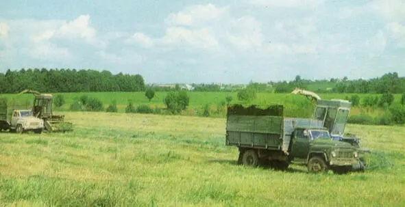 Уборка трав в ОПХ Ермолино 1987 ОПХ Ермолино 1985 - фото 34
