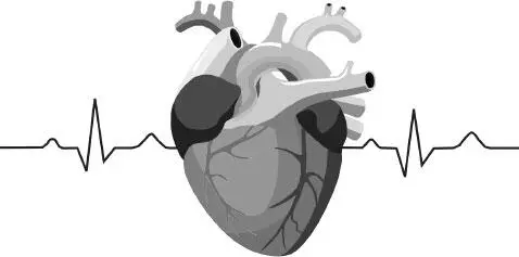 Что нужно знать непрофессионалу о профилактике сердечнососудистых заболеваний - фото 1