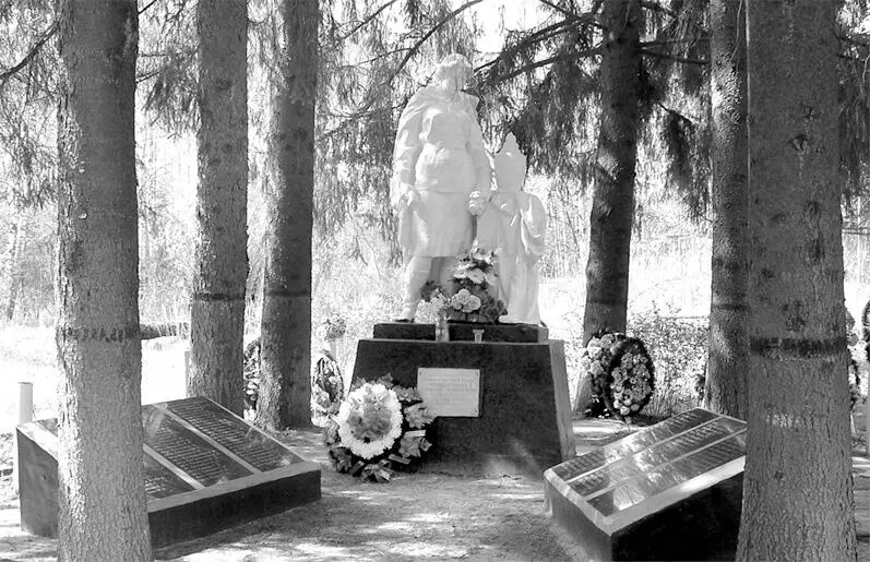 Памятник на братской могиле в лесу у д Василево Бывшая территория воинской - фото 14