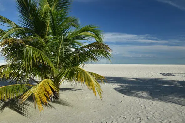 Белоснежный песок острова Диффуши Ковровая дорожка отеля Holiday Island - фото 9