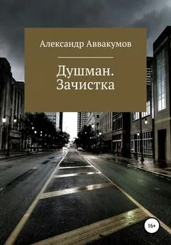 Александр Аввакумов - Душман. Зачистка