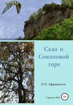 Петр Африкантов - Сказ о Соколовой горе