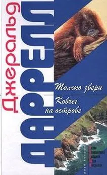 Джеральд Даррелл - Ковчег на острове