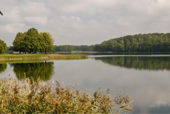 Тракай озеро Galvė Озеро Galvė кувшинки - фото 3