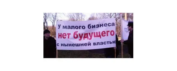 Единственным способом защитить себя от государственного рэкета у мелкого - фото 4