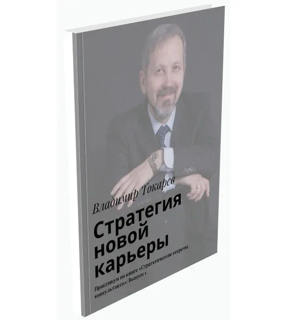 Что касается региональной стратегии то мне приходилось анализировать стратегию - фото 15