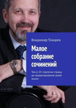 Владимир Токарев - Малое собрание сочинений. Том 6. От стратегии страны до продюсирования своей жизни