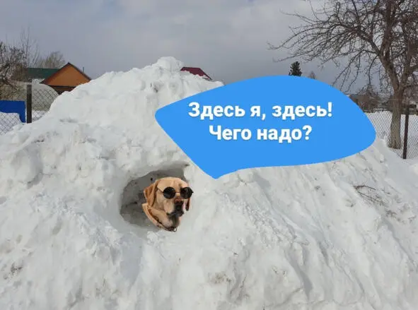 Вот я Мария Георгиевна НиколаеваМихайлова и есть то самое Панчо Вынесла - фото 6