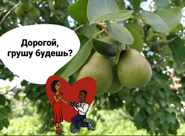 Но есть то что отличает меня от остальных Уж очень люблю посмеяться Не над - фото 7