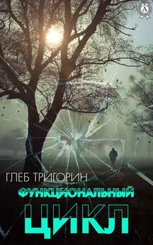 Глеб Тригорин - Функциональный цикл