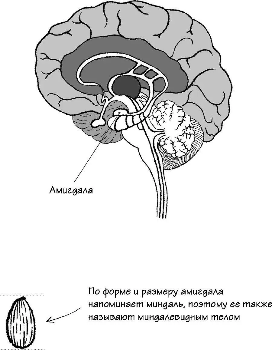 Однако когда дело касается неестественных привязанностей к определенным вещам - фото 24