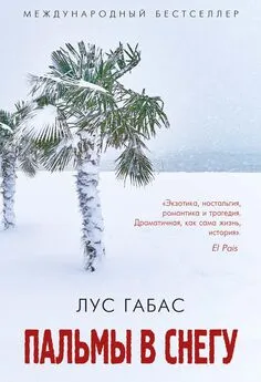 Лус Габас - Пальмы в снегу