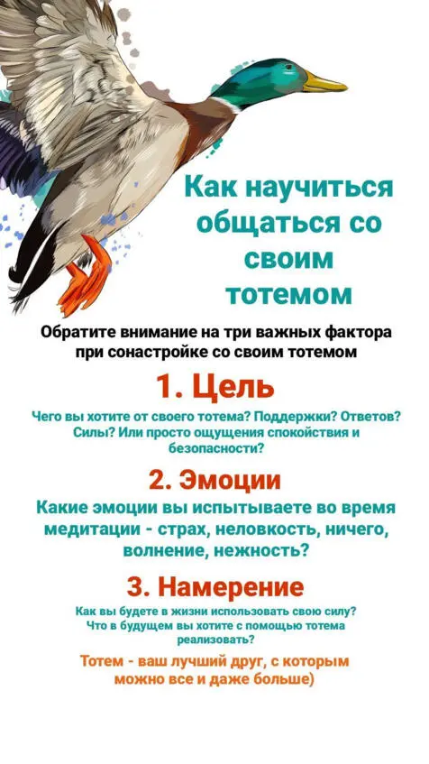 ЗАКОНЫ ТОТЕМОВ 1 Законы медведя - фото 3