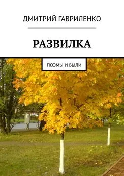 Дмитрий Гавриленко - Развилка. Поэмы и были