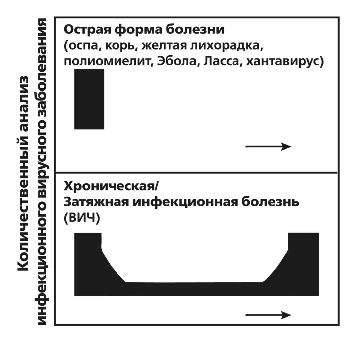 РИСУНОК 23Вызванные вирусами инфекции отличаются друг от друга Некоторые - фото 3
