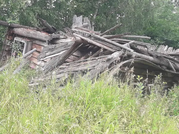 Разрушенный дом Мареньки Дорога к деревне Лбово - фото 6