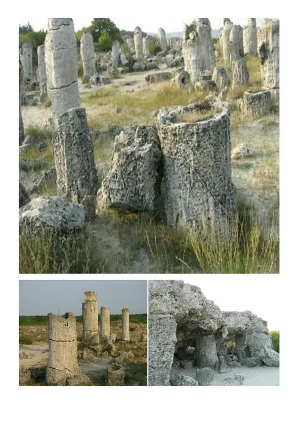 Окаменевший палеогеновый лес Побити камни в Болгарии Источник - фото 1
