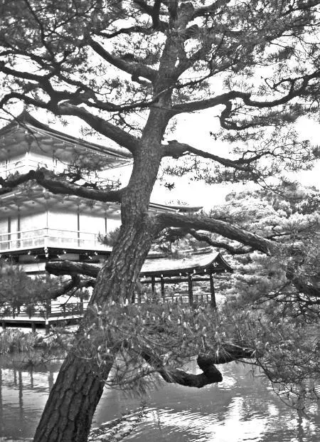 Золотой храм Кинкакудзи Эта книга о Японии о моей жизни в этой удивительной - фото 3