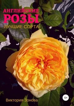 Виктория Зонова - Английские розы. Лучшие сорта