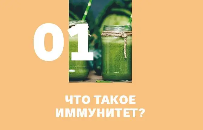 Если коротко то иммунитет это защитник здоровья Он бывает врожденный и - фото 8