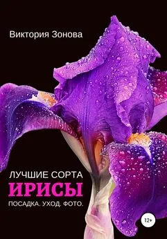 Виктория Зонова - Ирисы. Лучшие сорта