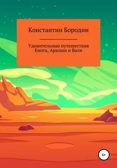 Константин Бородин - Удивительные путешествия Енота, Аркаши и Вали