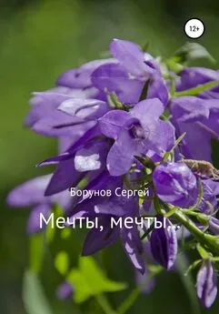 Борунов Сергей - Мечты, Мечты…