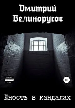 Дмитрий Великорусов - Юность в кандалах