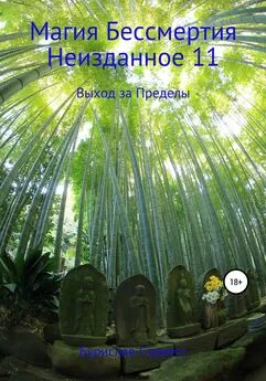 Бурислав Сервест - Магия Бессмертия. Неизданное 11. Выход за Пределы