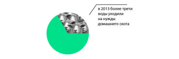 Запросы растущего населения невозможно удовлетворить животноводством уже в - фото 3