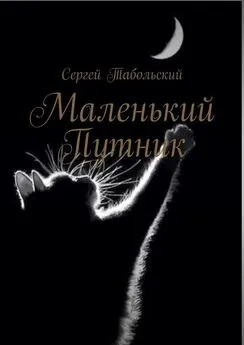 Сергей Табольский - Маленький Путник