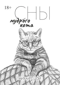 Михаил Цой - Сны мудрого кота