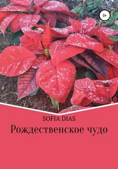 Sofia Dias - Рождественское Чудо