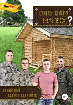 Павел Шершнёв - Оно вам NATO?