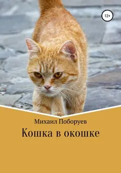 Михаил Поборуев - Кошка в окошке