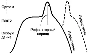 Рис 44 Цикл мужского сексуального реагирования Мастерс и Джонсон описали - фото 15