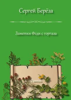 Сергей Берёза - Заметки Феди с горгаза. Свиток