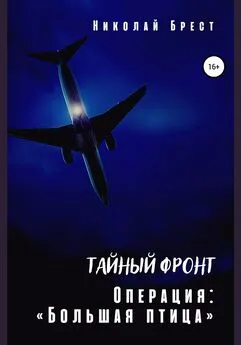 Николай Брест - Тайный фронт. Операция «Большая птица»